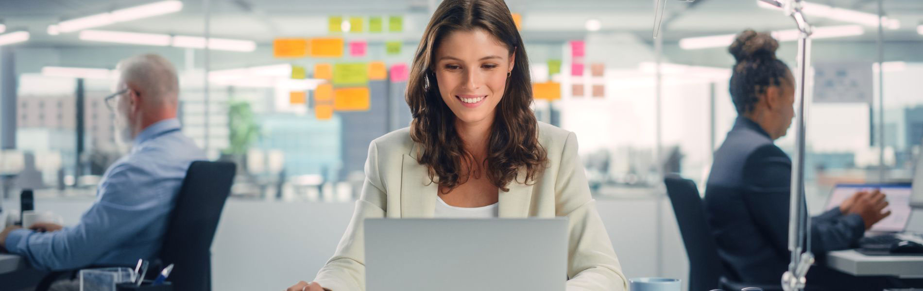 Bachelor of Business Degree in Management